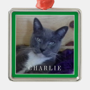 PET LOVE Premium Square Ornament / Green