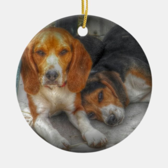 Pet Lover Christmas Ornament (Front)
