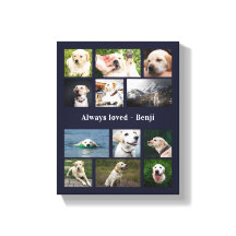 Pet Lover Keepsake