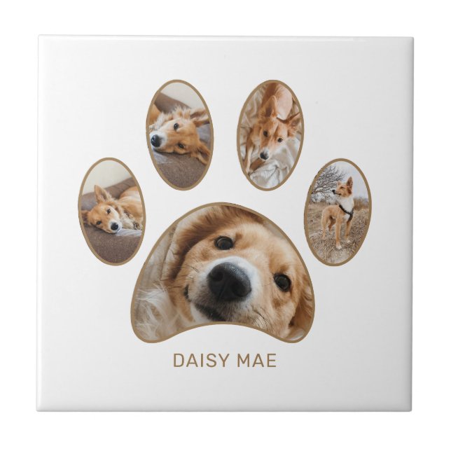 Pet Lovers Gold Paw Print Name Photo Collage Tile (Front)