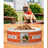 Pet Lovers Orange Stripes Photo Name