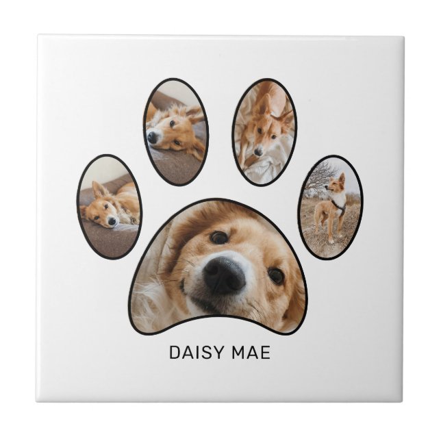 Pet Lovers Paw Print Photo Collage Personalised Tile (Front)