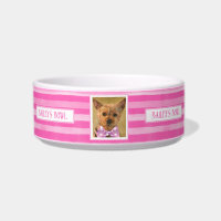 Pet Lovers Pretty in Pink Stripes Photo Name    