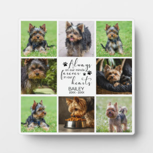 Pet Memoriabl Always on Minds Photo Plaque
