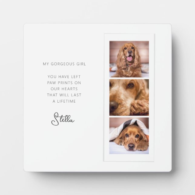 Pet Memorial 3 Photo Collage Remembrance Quote Plaque (Front)