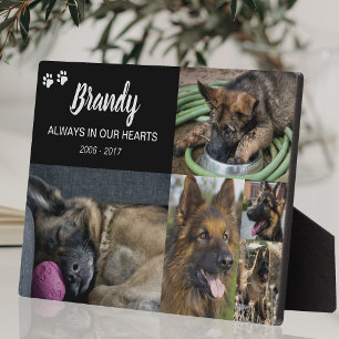 Pet Memorial   5 Photo Remembrance Plaque