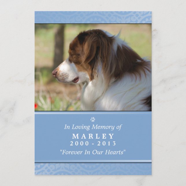 Pet Memorial 5x7 Light Blue Contented Poem Programme (Front)