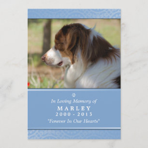 Pet Memorial 5x7 Light Blue God's Garden Poem Programme