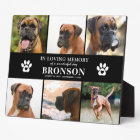 Pet Memorial 6 x Photo In Loving Memory