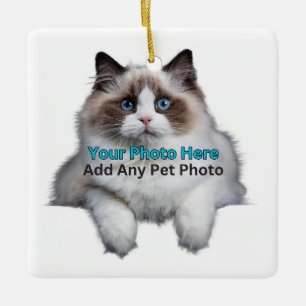 Pet Memorial/ Add Photo and Personalise Ceramic Ornament