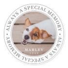 Pet Memorial Always a Special Memory Modern Photo