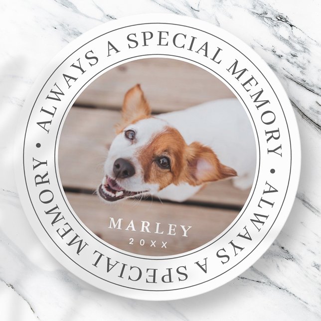 Pet Memorial Always a Special Memory Modern Photo Classic Round Sticker (Creator Uploaded)