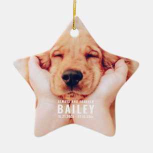 Pet Memorial Always and Forever Modern Photo Ceramic Tree Decoration