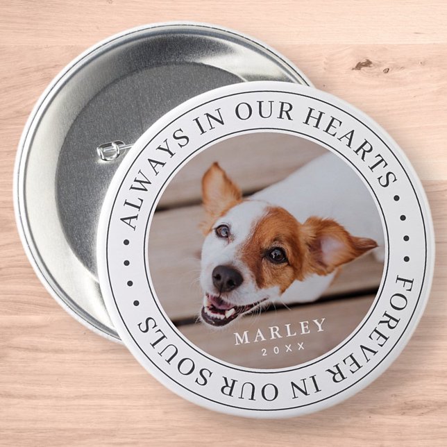 Pet Memorial Always In Our Hearts Modern Photo 7.5 Cm Round Badge (Creator Uploaded)
