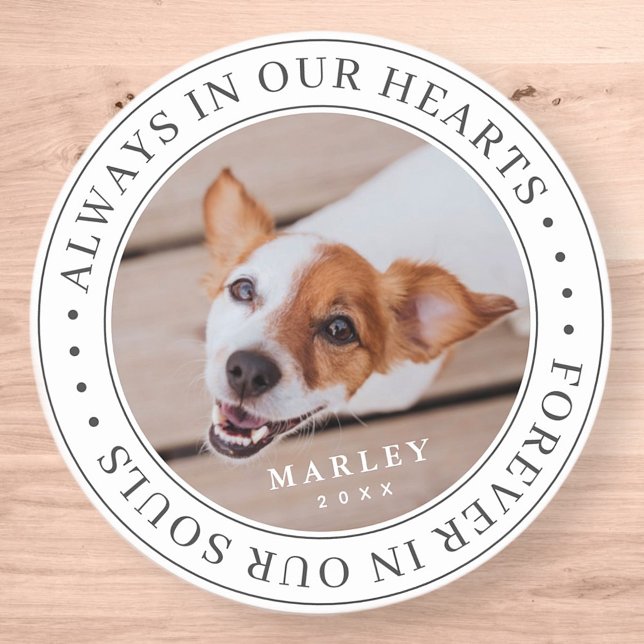 Pet Memorial Always In Our Hearts Modern Photo Classic Round Sticker (Creator Uploaded)
