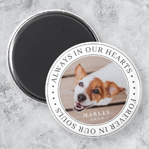 Pet Memorial Always In Our Hearts Modern Photo Magnet
