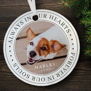 Pet Memorial Always In Our Hearts Modern Photo Metal Tree Decoration