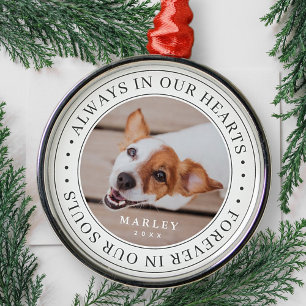 Pet Memorial Always In Our Hearts Modern Photo Metal Tree Decoration
