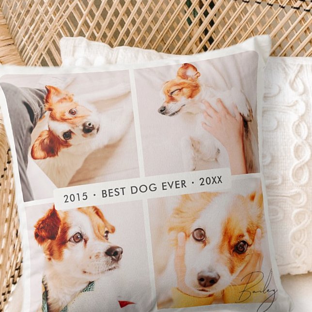 Pet Memorial Best Dog Ever Modern Photo Collage Cushion (Creator Uploaded)