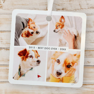 Pet Memorial Best Dog Ever Modern Photo Collage Metal Tree Decoration