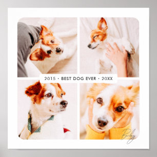 Pet Memorial Best Dog Ever Modern Photo Collage Poster