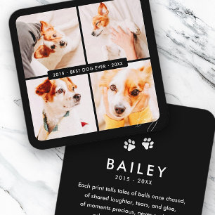 Pet Memorial Best Dog Ever Modern Photo Collage Square Business Card