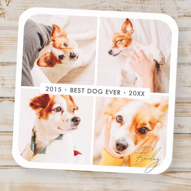 Pet Memorial Best Dog Ever Modern Photo Collage Square Sticker (Creator Uploaded)