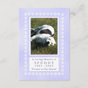 Pet Memorial Card 3.5"x5" - Heavenly Blue Pawprint
