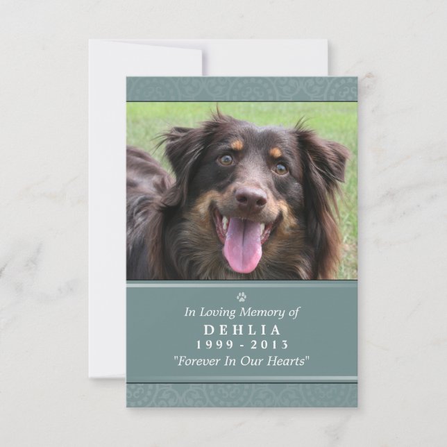 Pet Memorial Card 3.5x5 Teal - Contented Poem (Front)