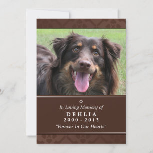 Pet Memorial Card 5"x7" Dark Brown - Female Pet