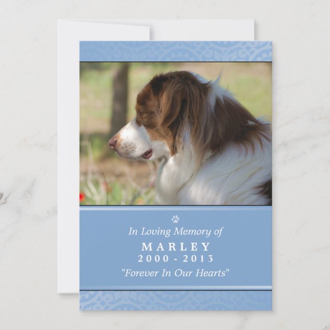 Pet Memorial Card 5"x7" Light Blue Pet's Prayer (Front)