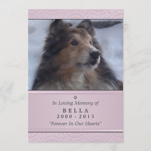 Pet Memorial Card 5"x7" Pink Modern - Female Pet (Front)