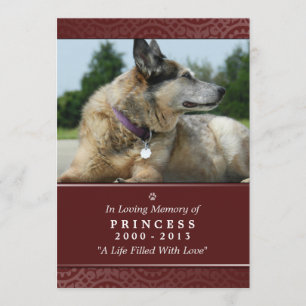 Pet Memorial Card 5"x7" Rainbow Bridge (Male)