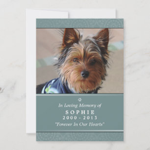 Pet Memorial Card 5x7 Teal Prayer for Pets