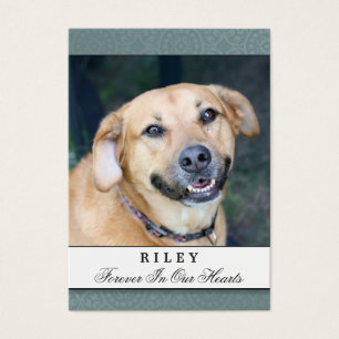 Pet Memorial Card Teal Modern Prayer for Pet