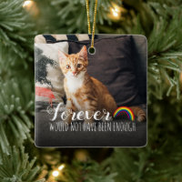 Pet Memorial Cat Tribute 2 Photo