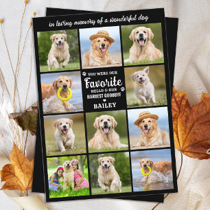 Pet Memorial Custom 11 Photo Collage Dog Sympathy Thank You Card