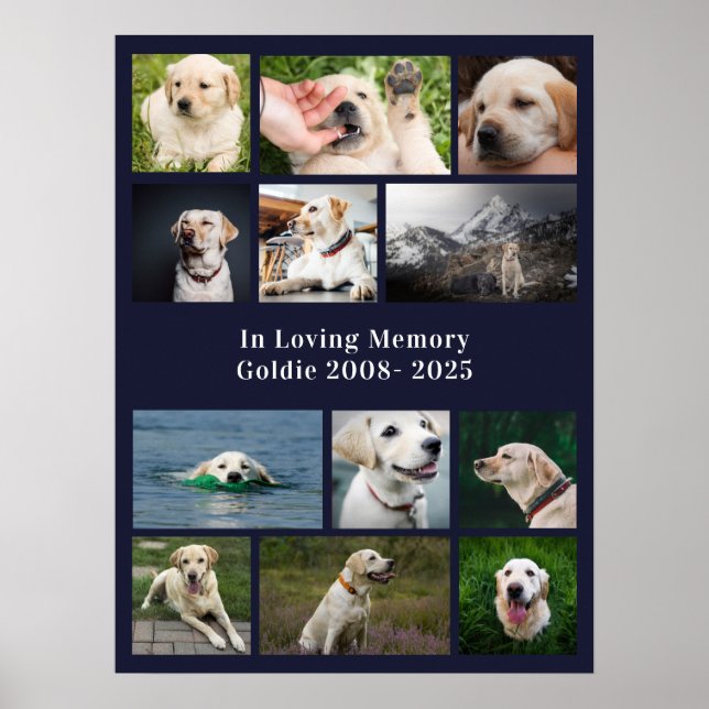 Pet Memorial Custom Dog 12 Photo Poster (Front)