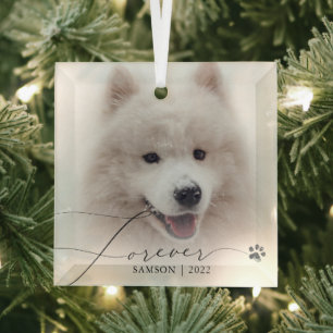 Pet Memorial Custom Photo Dog Paw Print Glass Tree Decoration
