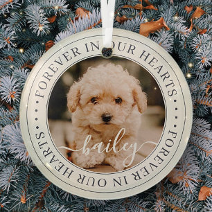 Pet Memorial Forever Hearts Elegant Chic Photo Glass Tree Decoration