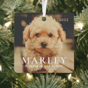 Pet Memorial Forever Hearts Simple Elegant Photo Metal Tree Decoration
