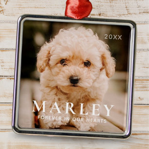 Pet Memorial Forever Hearts Simple Elegant Photo Metal Tree Decoration