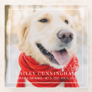 Pet Memorial Forever In Our Hearts Framed Photo Glass Coaster