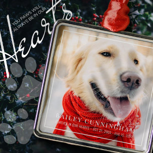 Pet Memorial Forever In Our Hearts Framed Photo Metal Tree Decoration