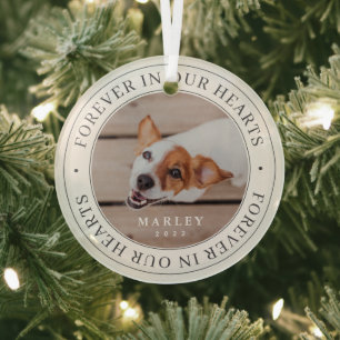 Pet Memorial Forever In Our Hearts Modern Photo Glass Tree Decoration