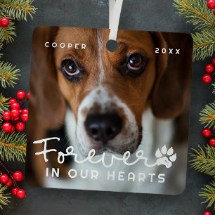 Pet Memorial Forever In Our Hearts Modern Photo Metal Tree Decoration