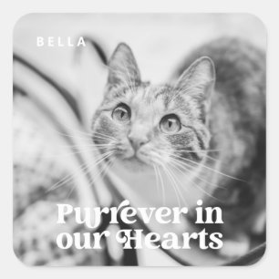 Pet Memorial Forever in our Hearts Simple Photo Square Sticker