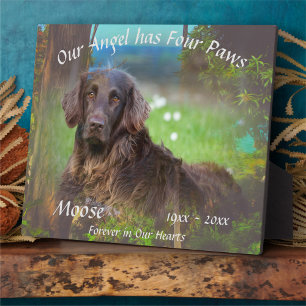 Pet Memorial Four Paws 1017 Plaque