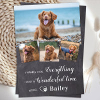 Pet Memorial From The Dog Custom 4 Photo Collage