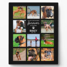 Pet Memorial Gift | In Loving Memory Photo
